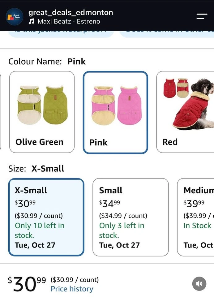 Waterproof Dog winter coat XS - photo 3