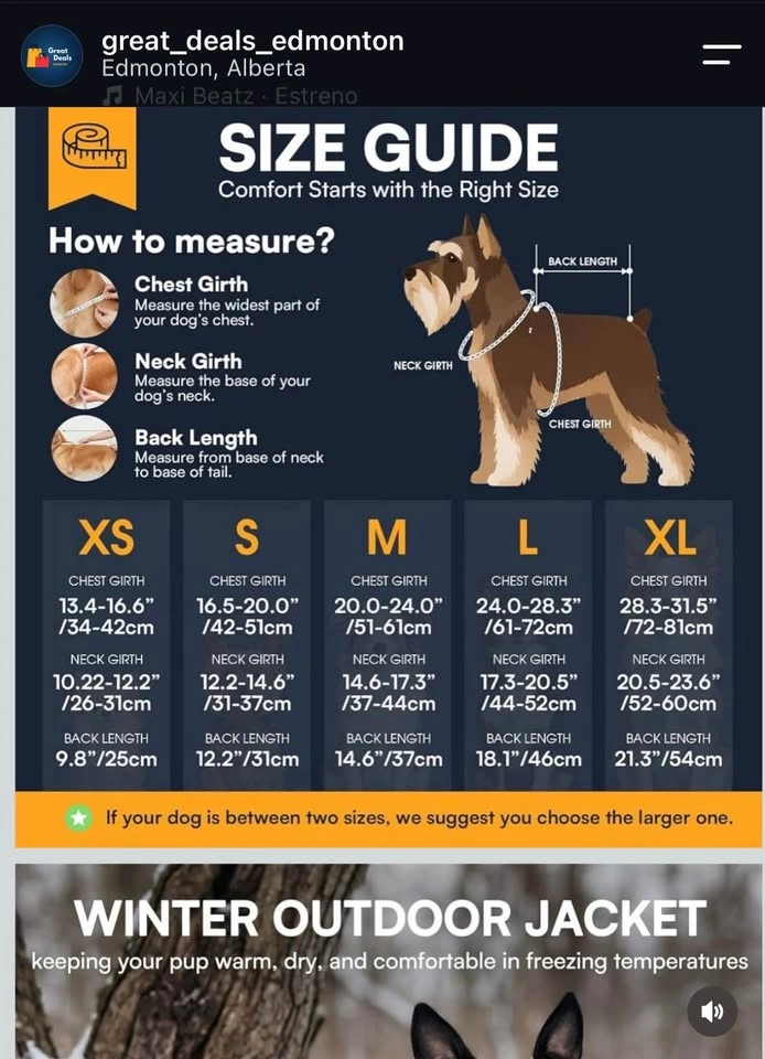 Waterproof Dog winter coat XS - photo 4