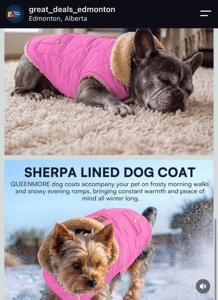 Waterproof Dog winter coat XS - photo 5