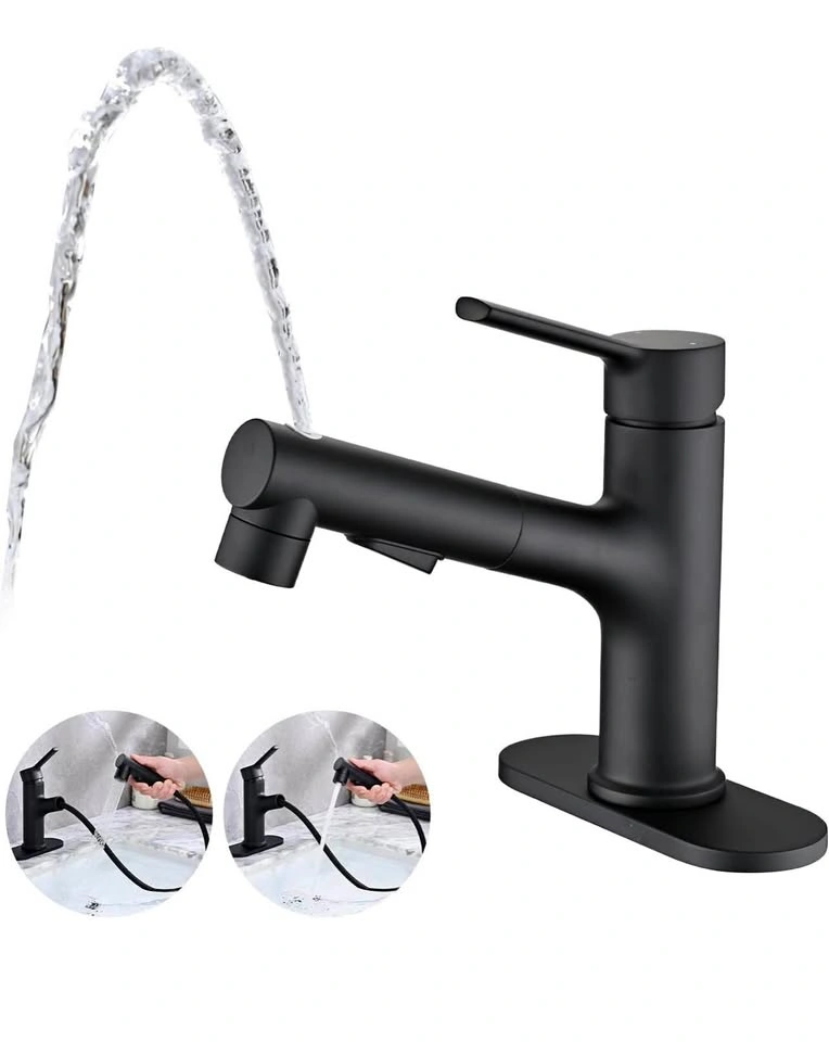 Matte Black Pull-Out Faucet with water fountain