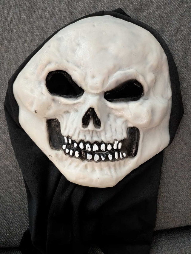 Kids Halloween Costume - photo 5