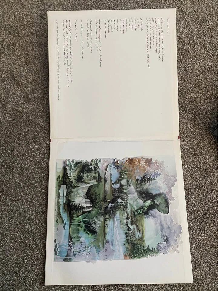 Bon Iver, Bon Iver LP - photo 3