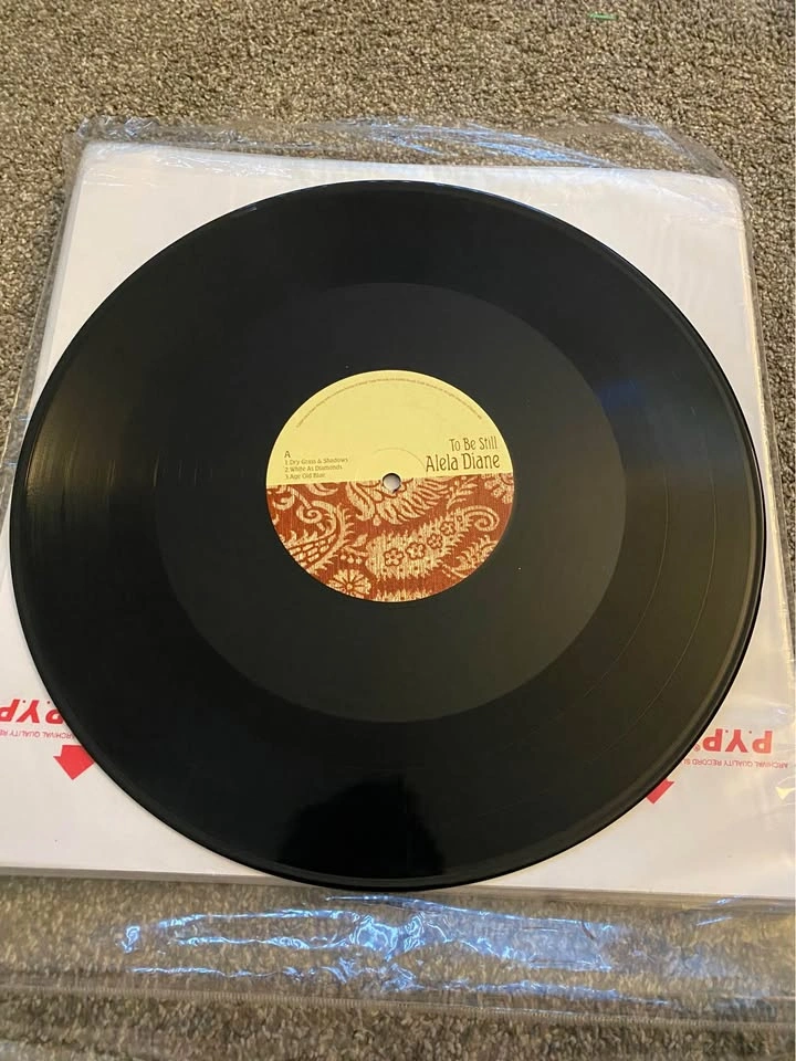 alela diane to be still LP - photo 5
