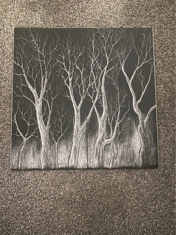 Radiohead, The King of Limbs LP - photo 3