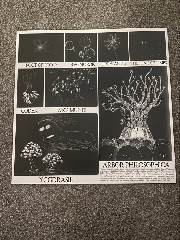 Radiohead, The King of Limbs LP - photo 4