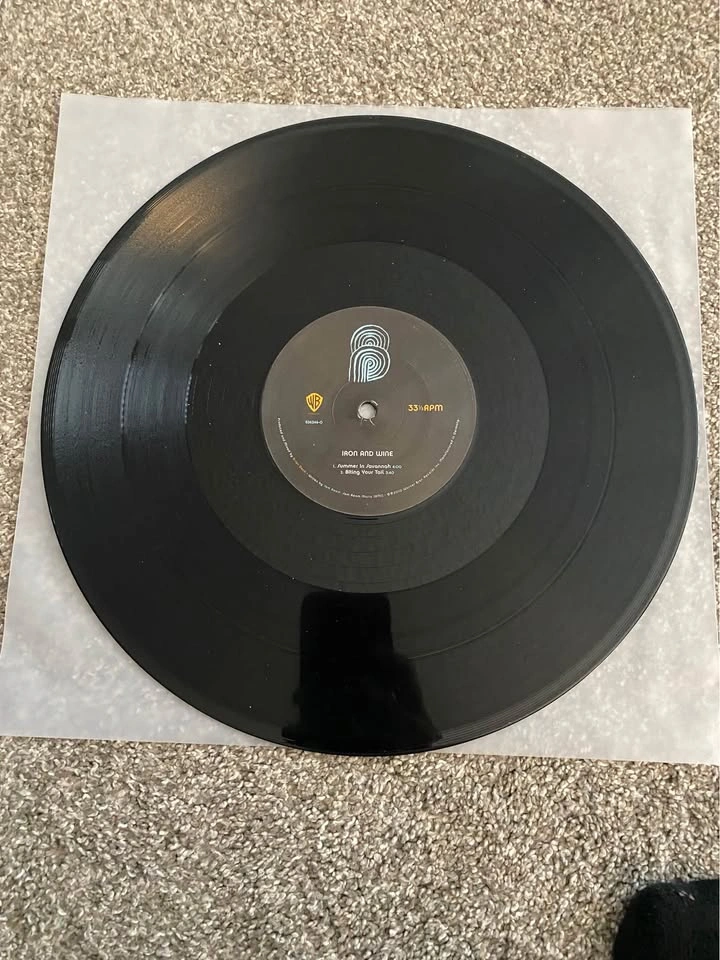 Iron and Wine: Walking Far From Home LP - photo 3