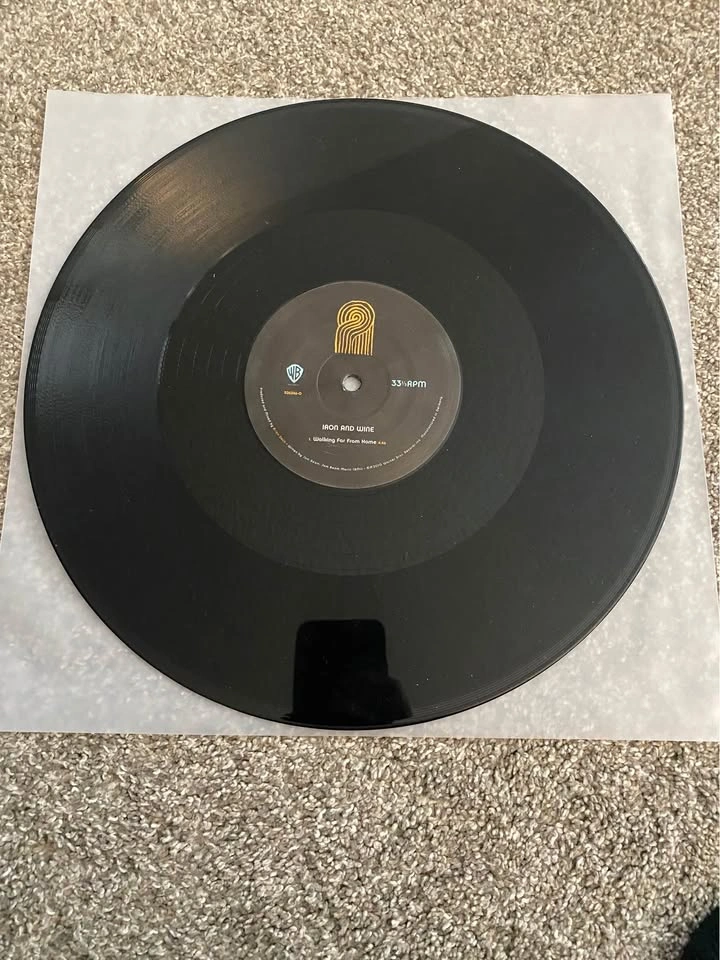Iron and Wine: Walking Far From Home LP - photo 4