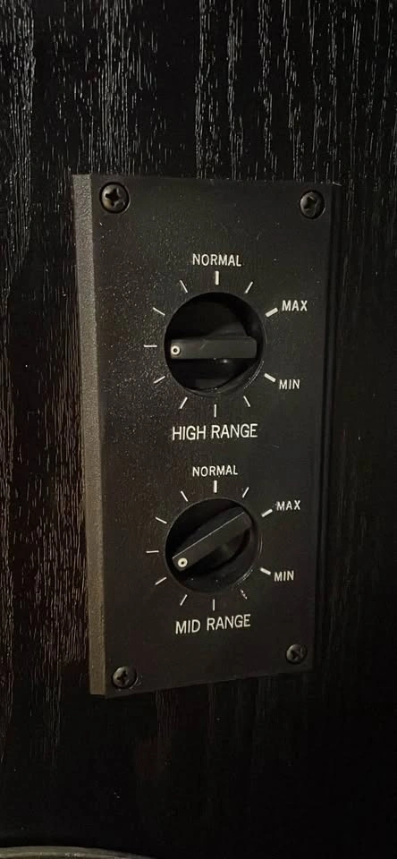 Vivid TX-475BLK Studio Tower Monitors 10’ speakers - photo 2