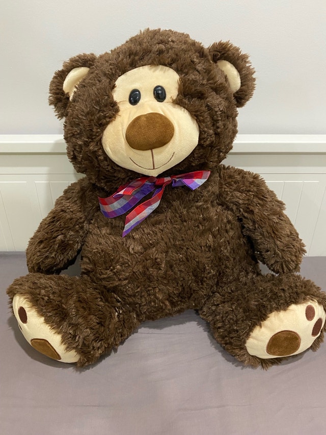Large Brown Teddy Bear