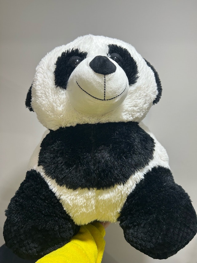 Panda Plush Toy