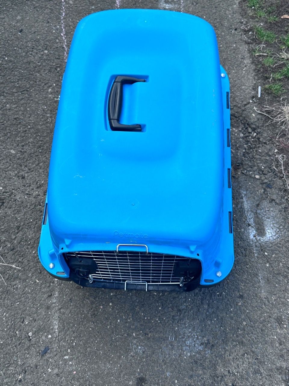 Petmate Blue Hard-Shell Pet Carrier