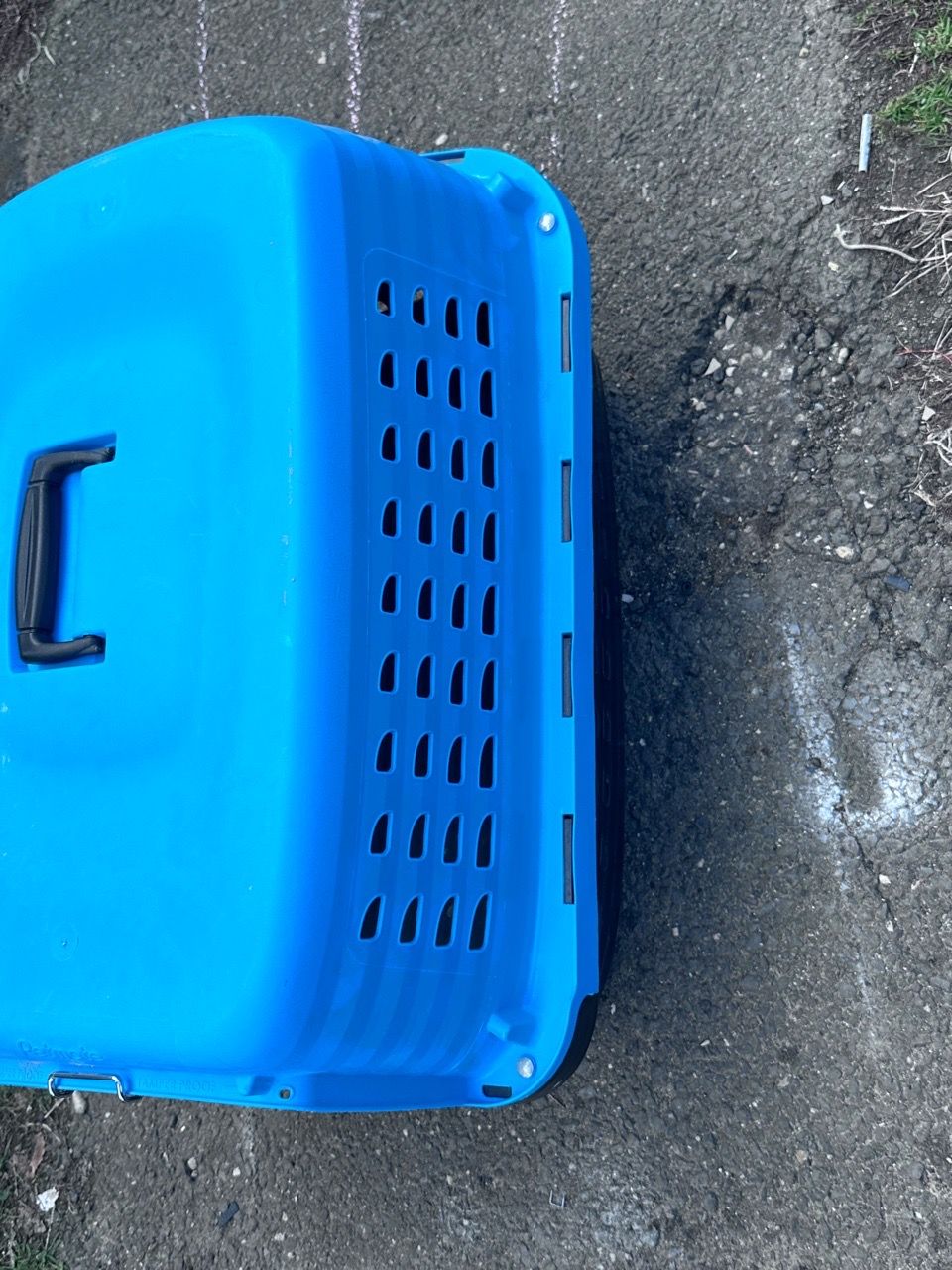 Petmate Blue Hard-Shell Pet Carrier - photo 3