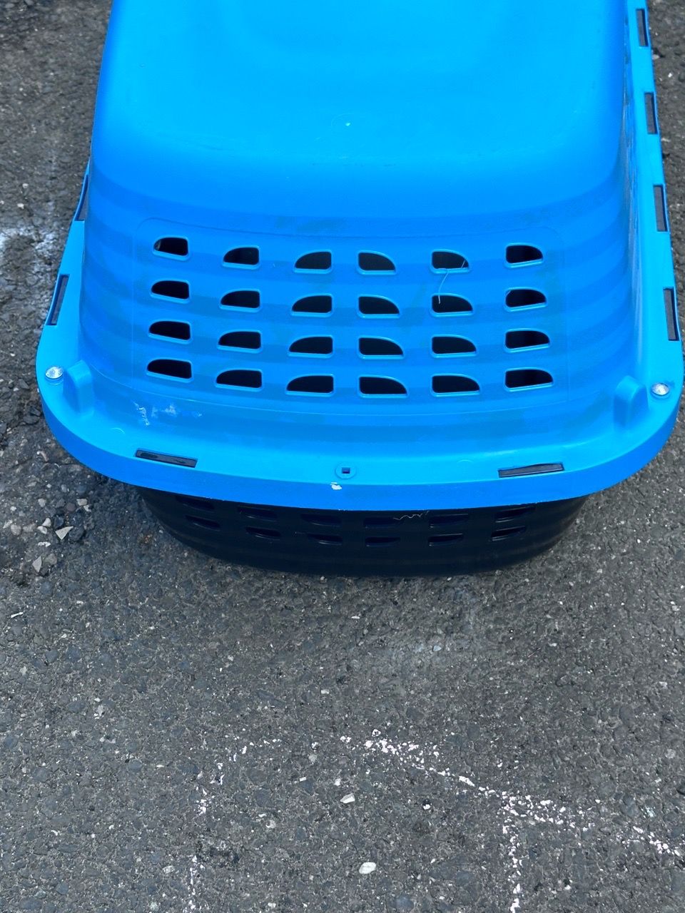 Petmate Blue Hard-Shell Pet Carrier - photo 4