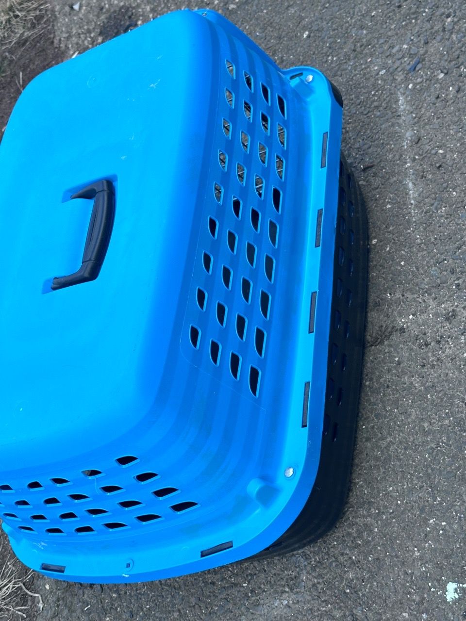 Petmate Blue Hard-Shell Pet Carrier - photo 5