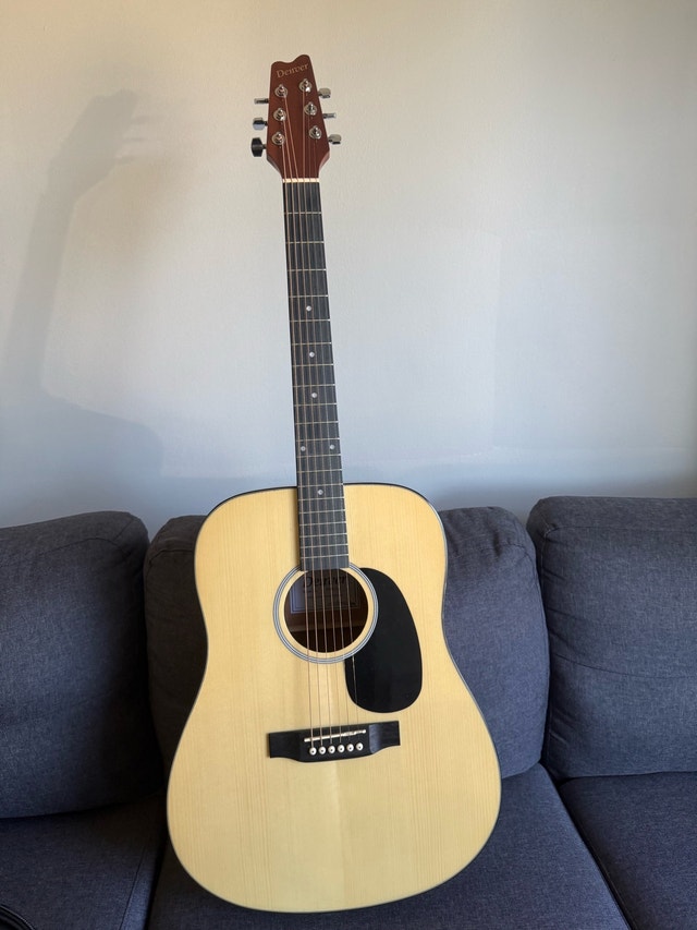Denver Full-Size Steel-String Acoustic Guitar + Gig Bag