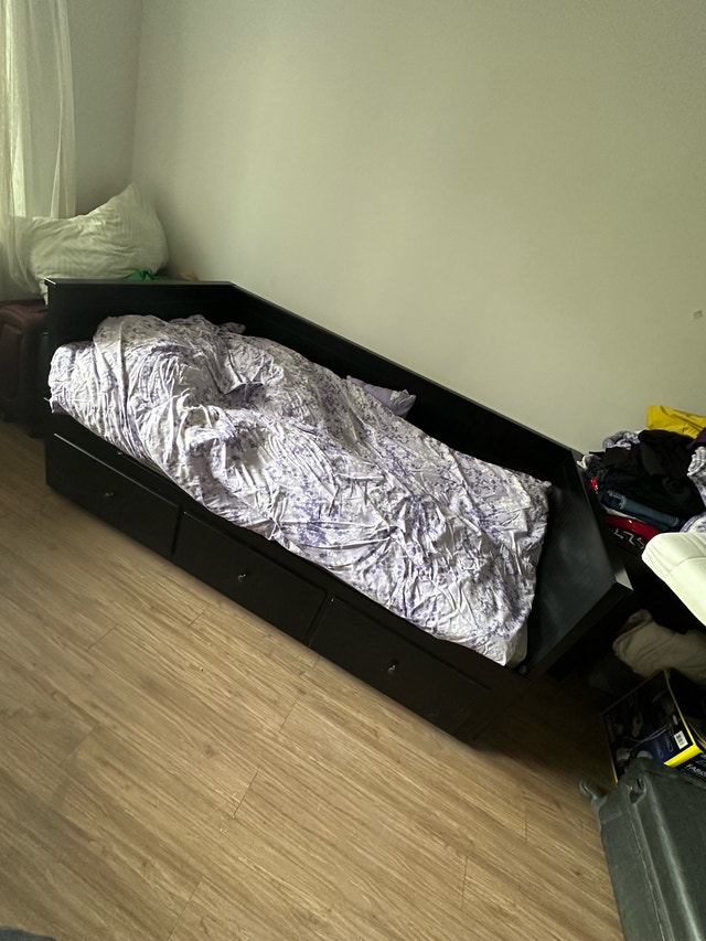 IKEA Hemnes Daybed - photo 2