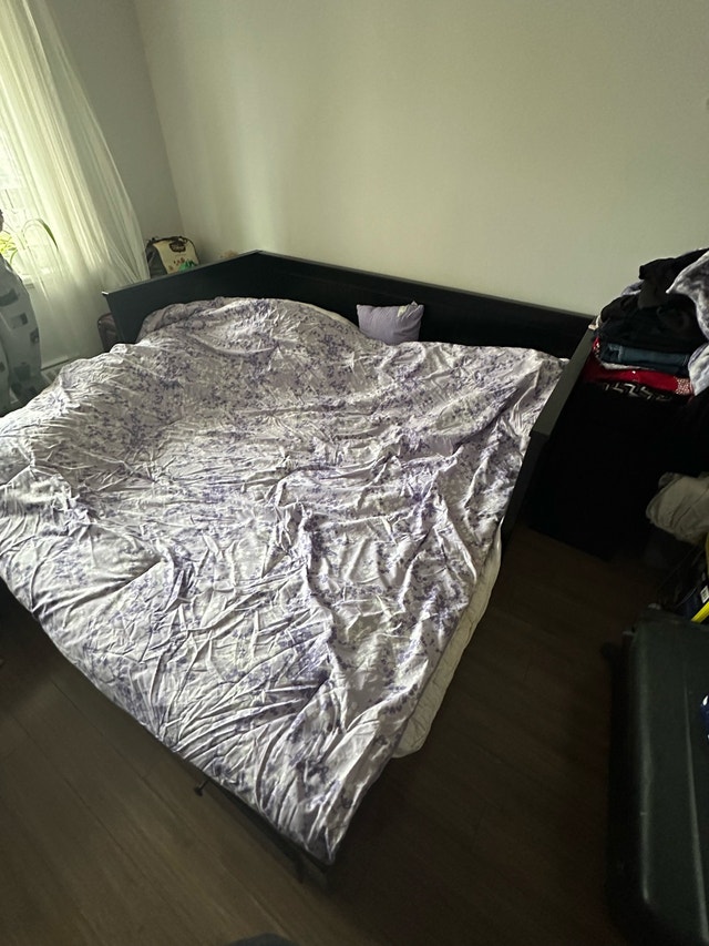 IKEA Hemnes Daybed - photo 4