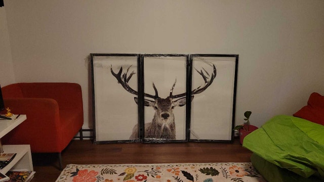 NEW 3-Pc Stag Wall Art (22"x42" each) - Park Road Furniture