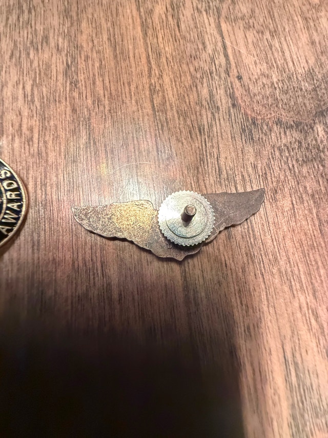 Vintage Solo Pilot Wing Pin - photo 2