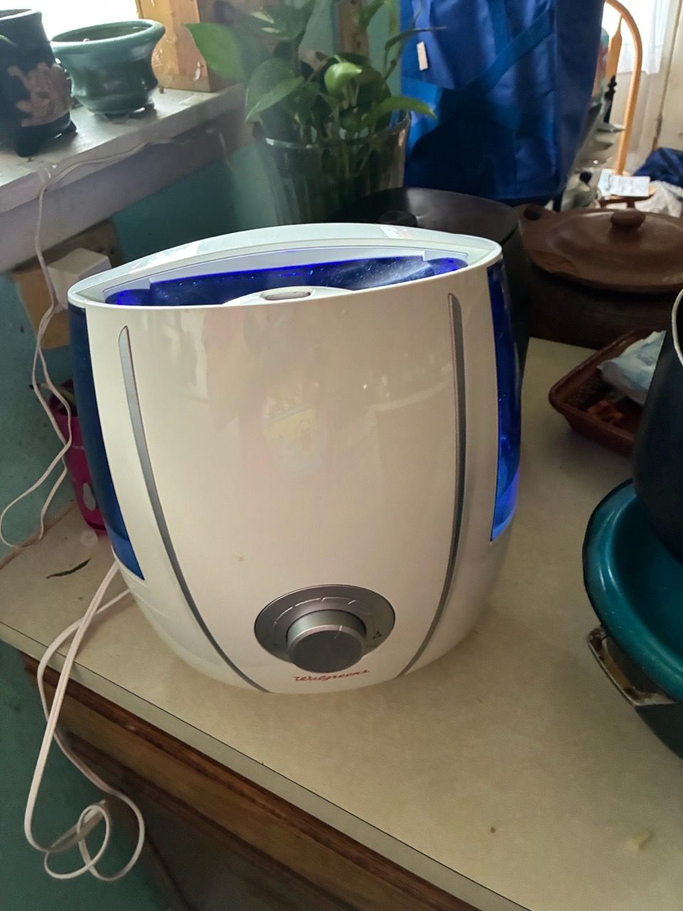 Warm and cool mist humidifier