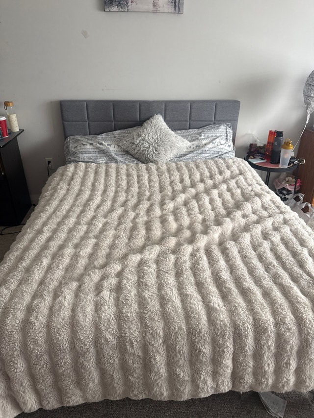 Mainstays Queen Upholstered Platform Bed Frame – Grey – Like New