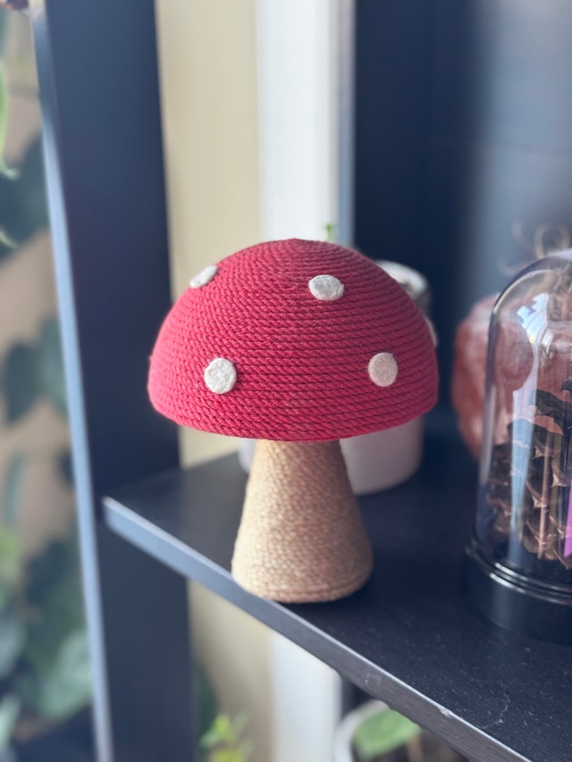 Cute Decorative Mushroom – Cozy Home Decor Accent