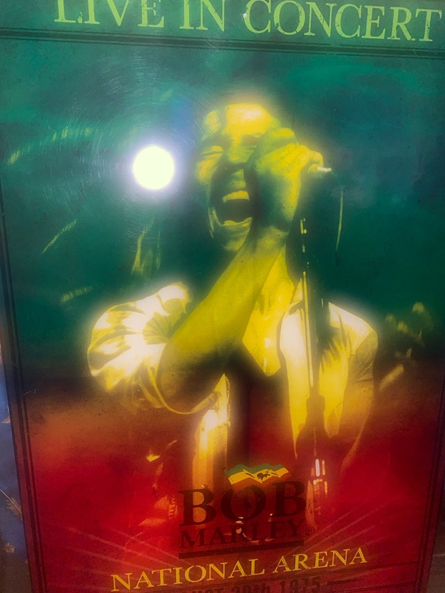 Bob Marley Live in Concert Wall Art