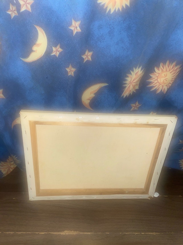 Malik Hand-Painted Star Canvas - photo 2