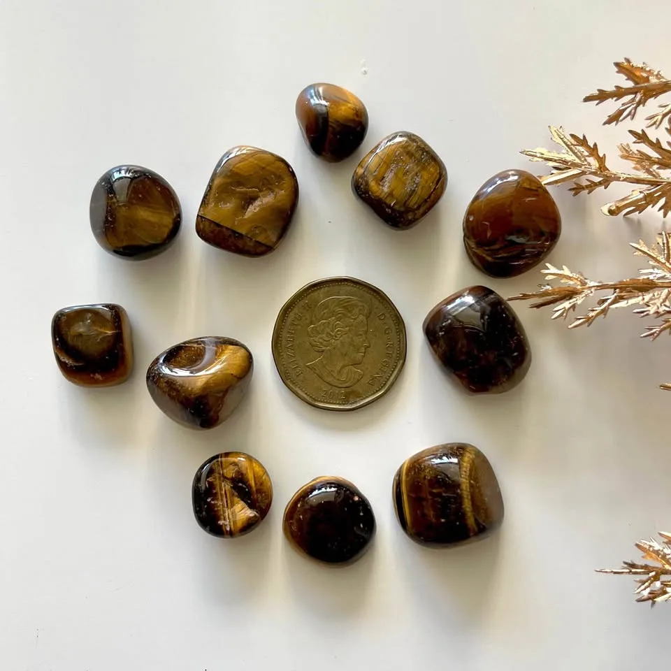 Tiger Eye Small Tumbles #1 🧡 image indicator(3)