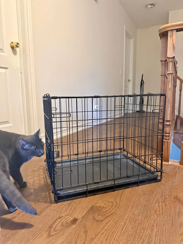 Metal Dog Crate