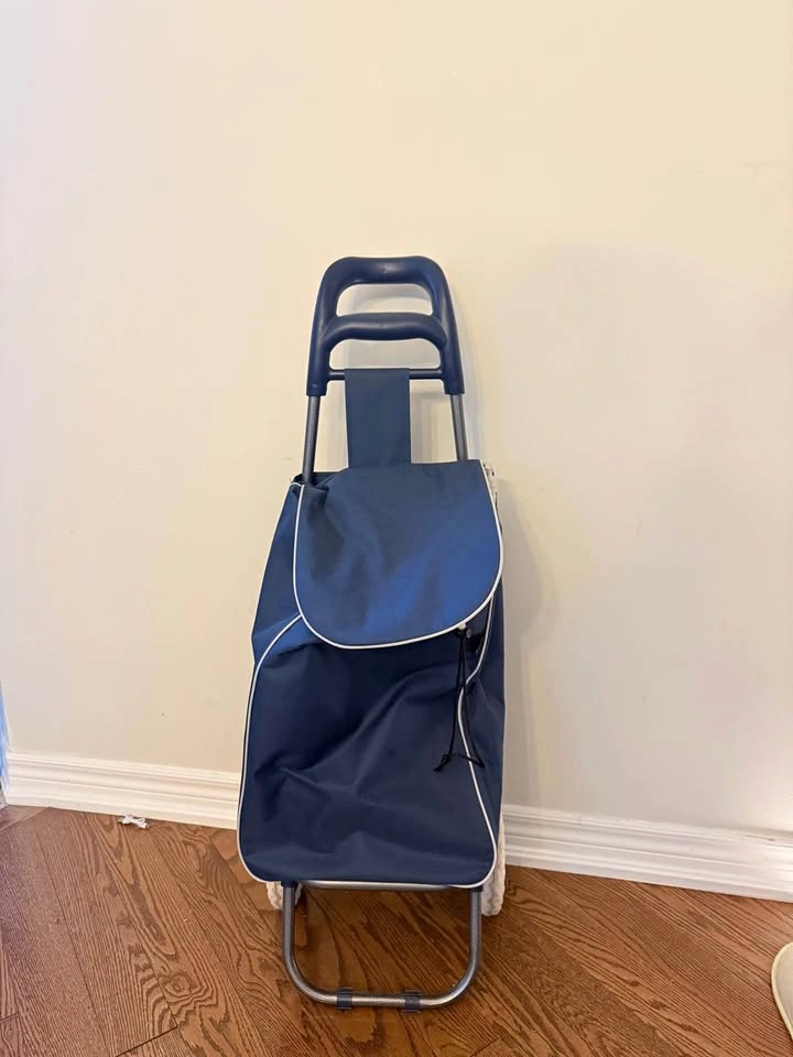 Blue Rolling Shopping Cart