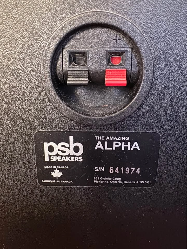 PSB The amazing Alpha Bookshelf Speakers. - photo 3