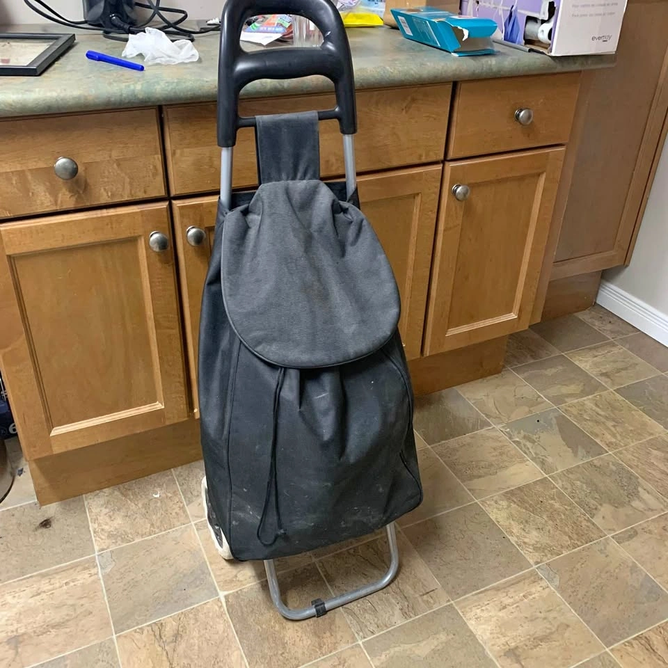 Foldable Shopping cart waterproof