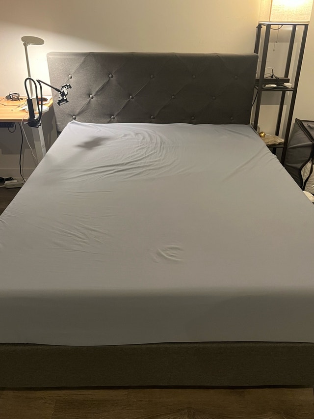 Zinus king bed frame