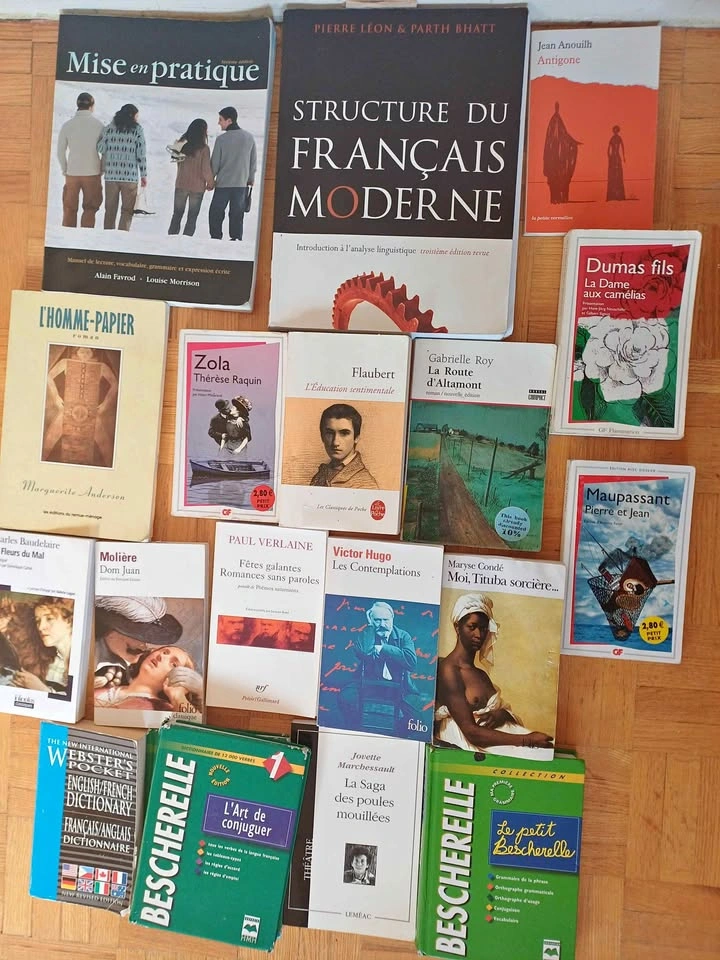 French books bundle: all included