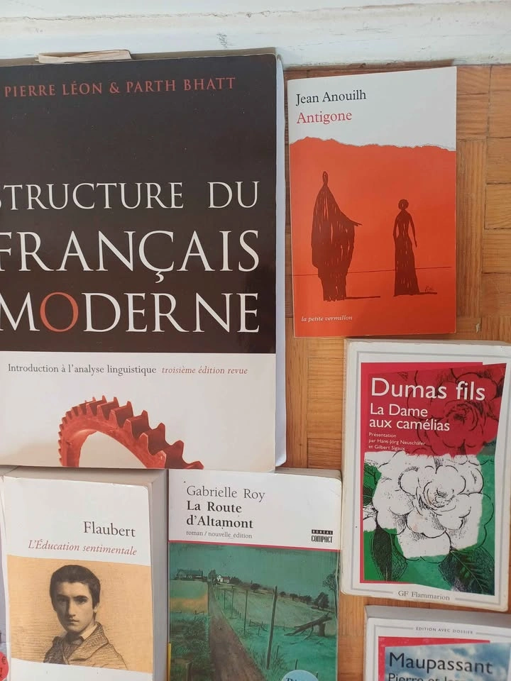 French books bundle: all included - photo 2