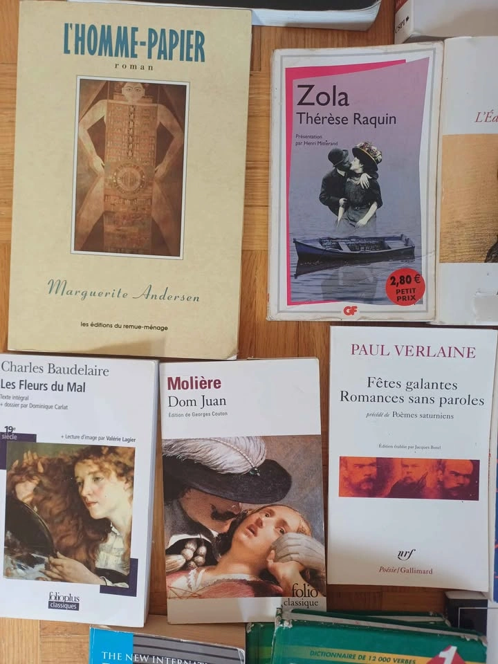 French books bundle: all included - photo 4