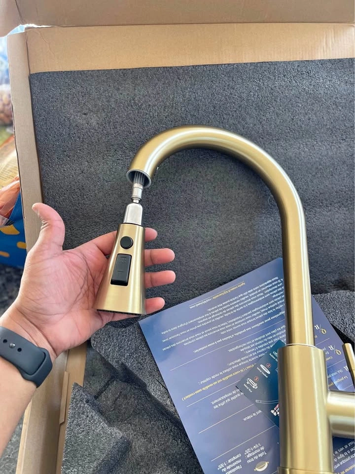 Blylund Brushed Gold Kitchen Faucet with Pull-Down Sprayer