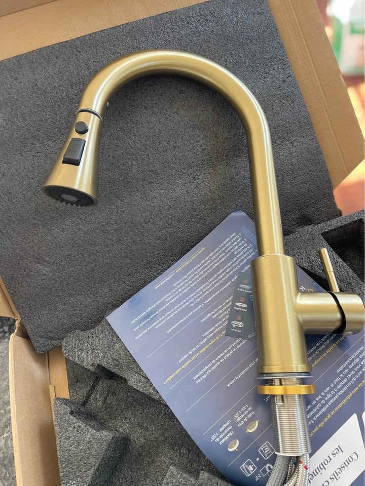 Blylund Brushed Gold Kitchen Faucet with Pull-Down Sprayer - photo 2