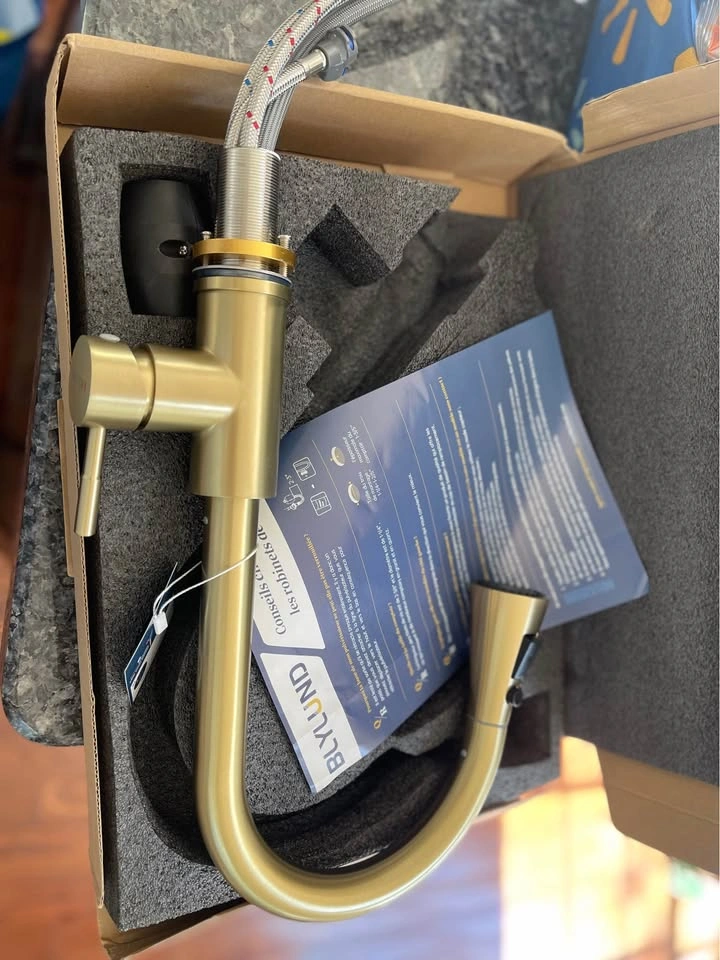 Blylund Brushed Gold Kitchen Faucet with Pull-Down Sprayer - photo 3