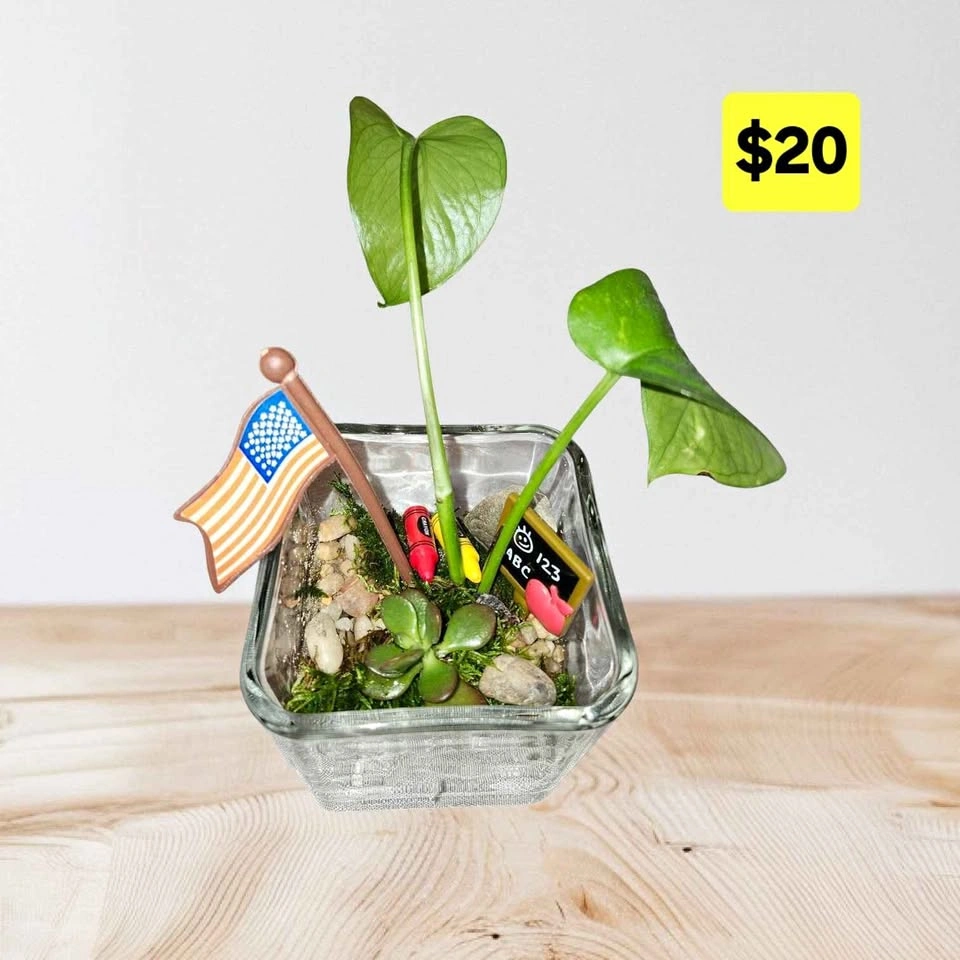 Themed Glass Terrariums