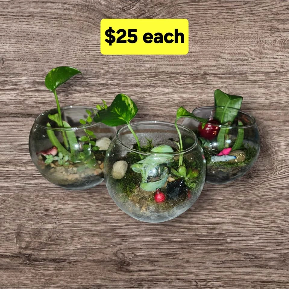 Themed Glass Terrariums - photo 2