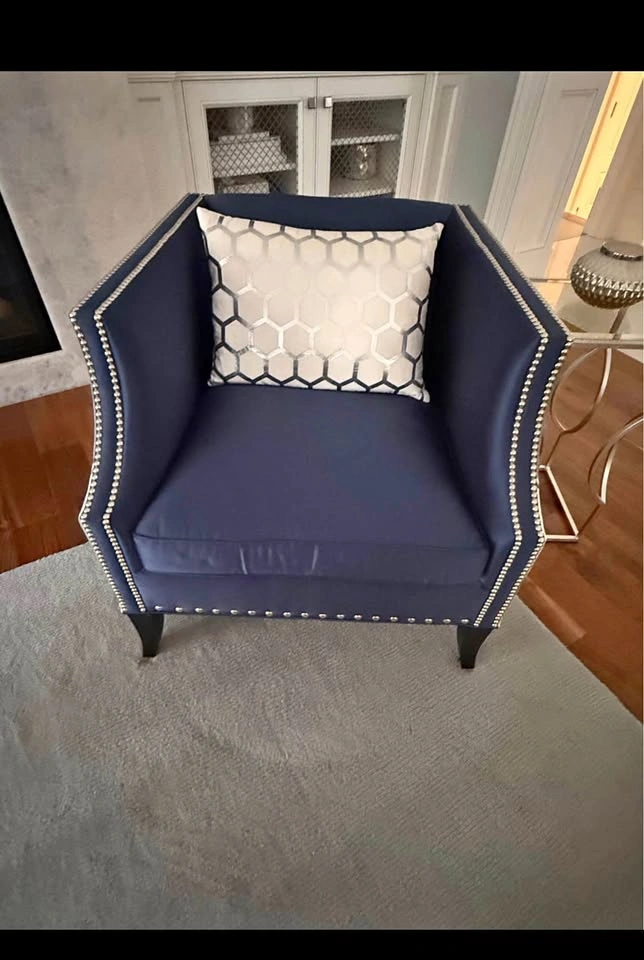 Family Room couch and ottoman
