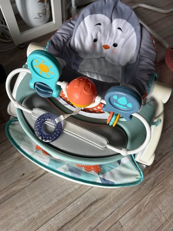 Fisher-Price Sit-Me-Up Floor Seat - Penguin - photo 2