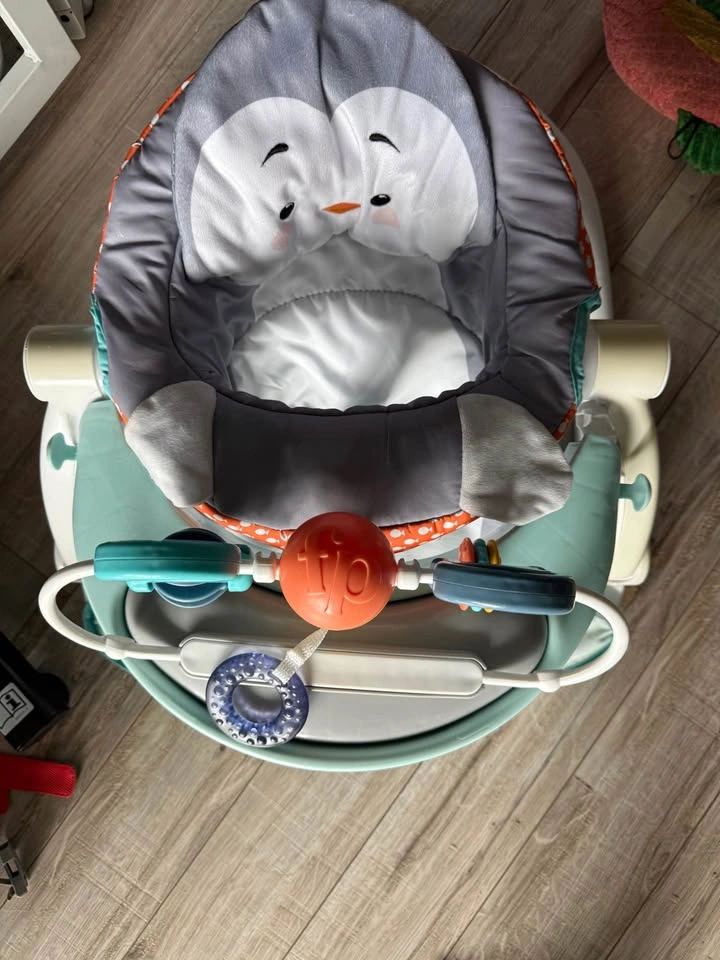 Fisher-Price Sit-Me-Up Floor Seat - Penguin - photo 4