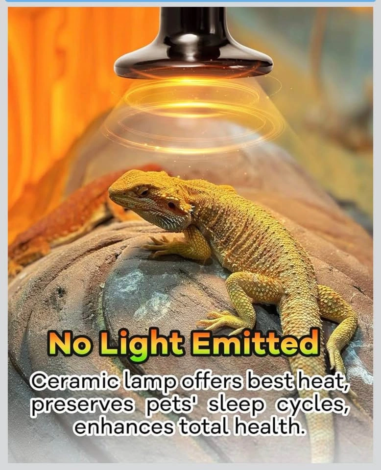 Ceramic heat lamp for reptile pack of 2 - photo 2
