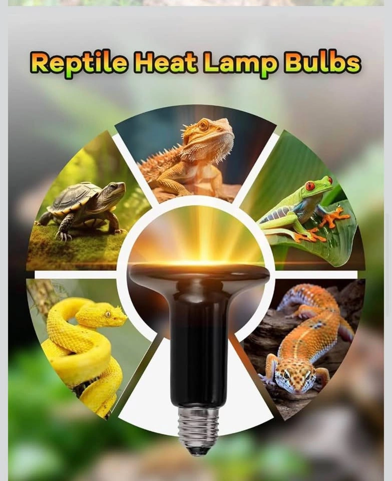 Ceramic heat lamp for reptile pack of 2 - photo 3