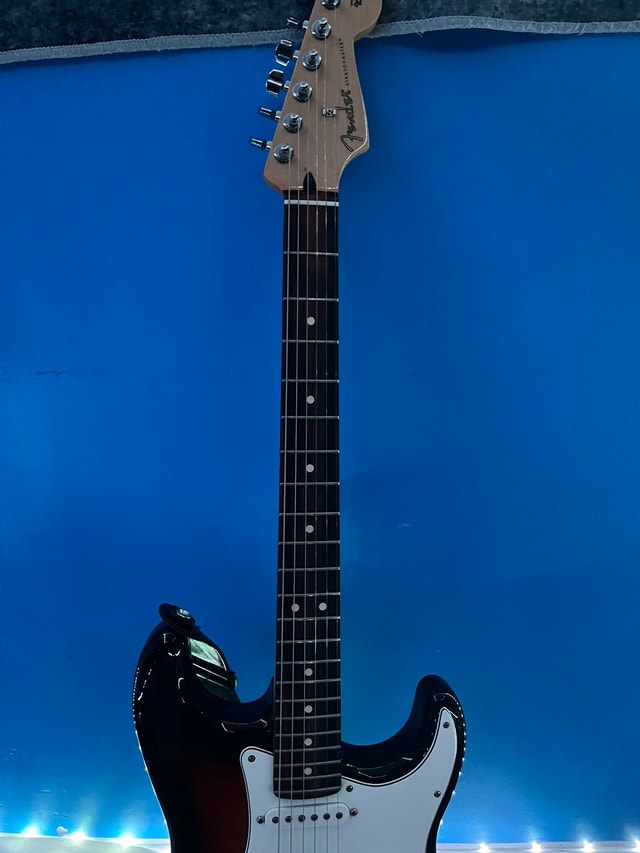 Fender Stratocaster - photo 2