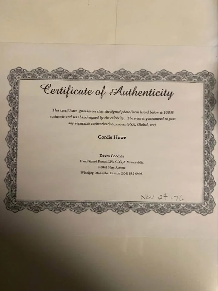 🧡 Mr hockey image indicator(2)