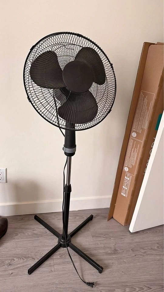 Black Pedestal Fan